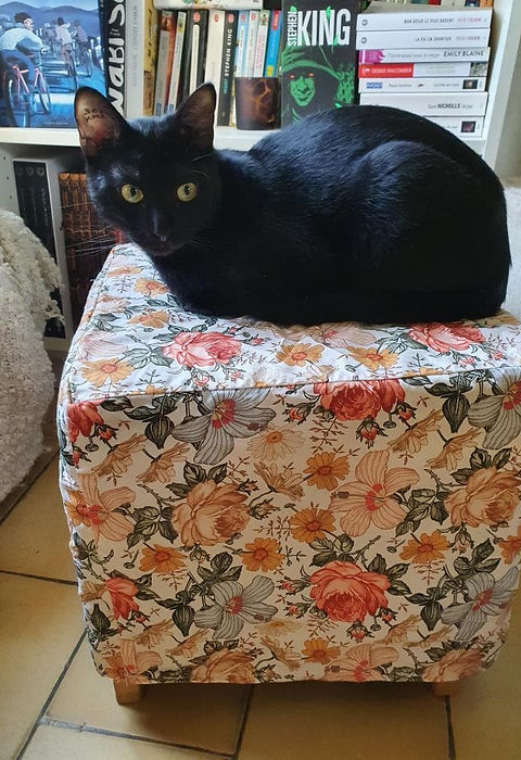 pouf.jpg